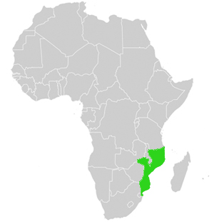 Lage in Afrika Mosambik